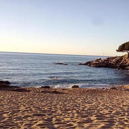 公寓 Luxury Duplex - 2 Terraces - Private 滨海托萨